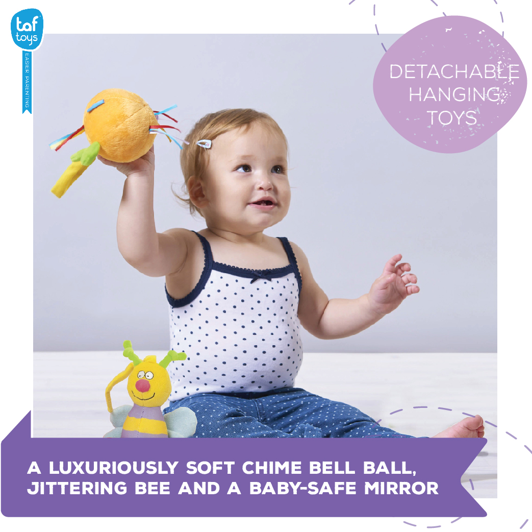 Taf toys best sale baby gym